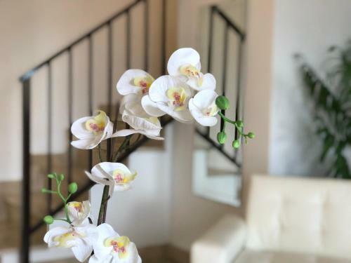 Apartamentos Verano Penthouse Estepona