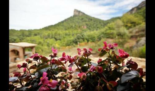 Villa In Falset Sleeps 6 With Pool