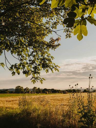 Agroturismo Mas Gener�s - Adults-only Eco Hotel