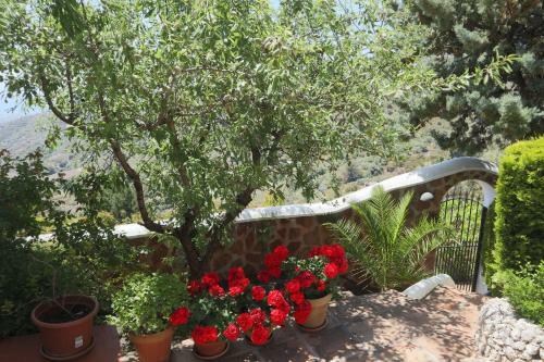 Villa Cortijo La Palmera, Frigiliana