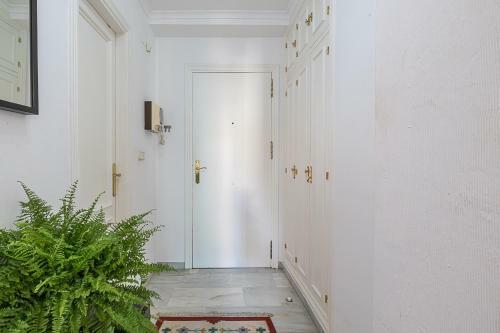 Apartment Do�a Sofia