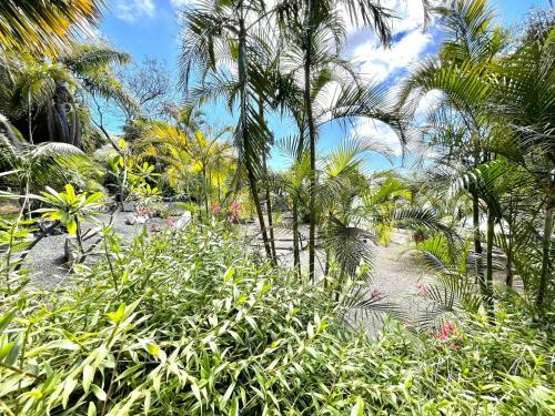 One Bedroom Apartment, Ocean View, Fuencaliente