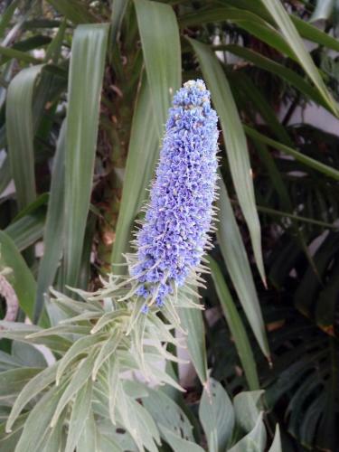 Hotel Vila Channa - Adults Only