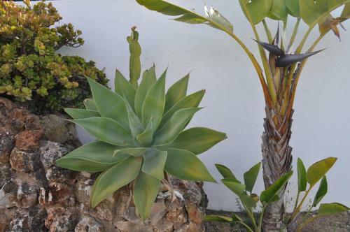 Casa Areias Apartamentos Tur�sticos