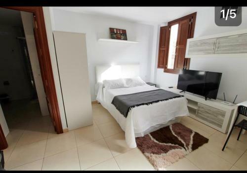 Apartamento Elvira 50