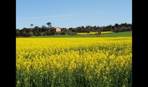 Villa In Gironella Sleeps 15 With Pool