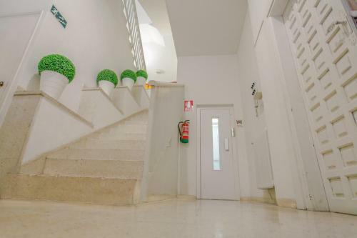 Albergue Residencia El Realejo