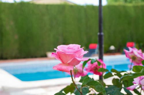 New. Luxury Villa C&c. Jard�n, Piscina Y Barbacoa