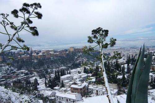 Apartment With 2 Bedrooms In Granada With Wifi