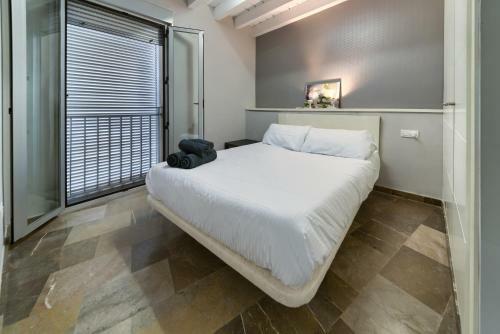 Apartamento Holidays2granada Centro Con Terraza-solarium