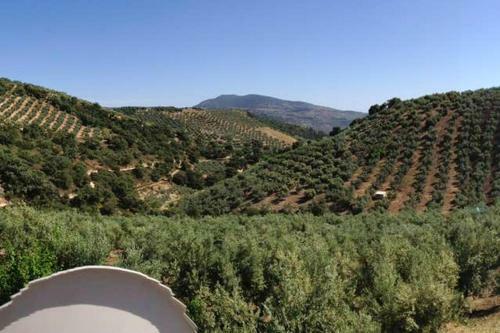 Villa With 9 Bedrooms In Granada With Private Pool Terrace And Wifi