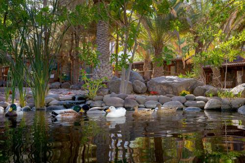 Agroturismo Redondo De Guayedra