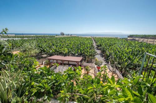 Casa Card�n - Villa Perenqu�n