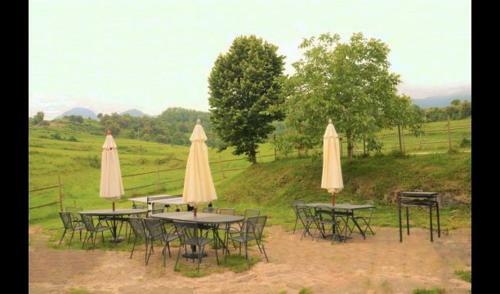 Villa In Els Hostalets D'en Bas Sleeps 15 With Pool