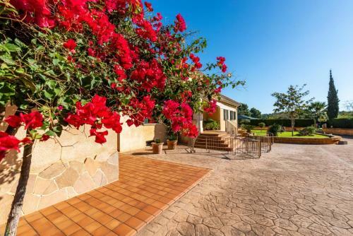Villa In Inca Sleeps 8 Includes Swimming Pool Air Con And Wifi 1