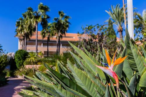 Golden Gardens Javea Apartment