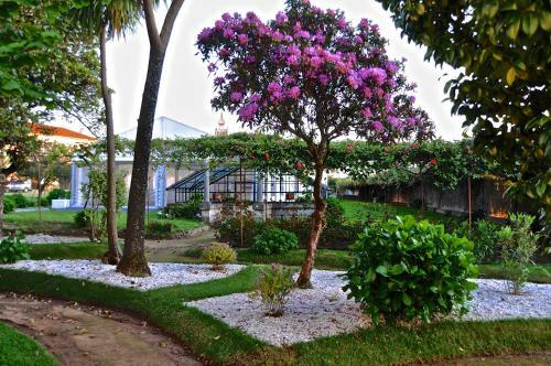 Bed & Breakfast Palacete Villa Idalina