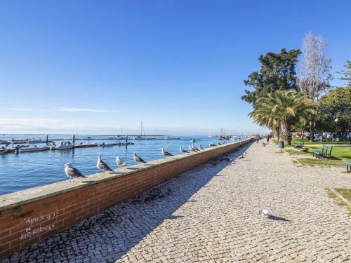 Apartment Olh�o