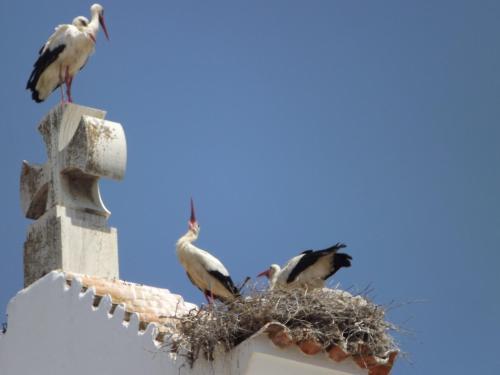 Apartamento Entrecubos Guesthouse