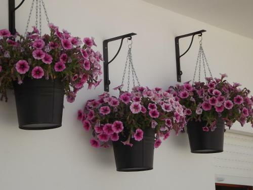 Apartamento Entrecubos Guesthouse