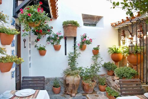 Hostal Casa Pinto