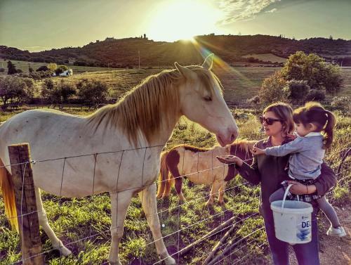 Bed & Breakfast Monte Santa Catarina