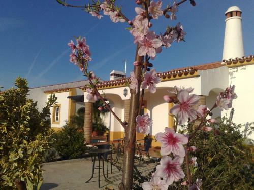 Bed & Breakfast Monte Santa Catarina