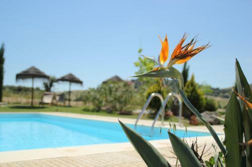 Bed & Breakfast Monte Santa Catarina