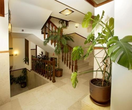 Hotel Mira Rio