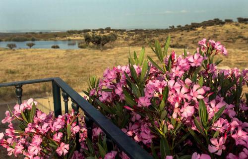 Naveterra-hotel Rural