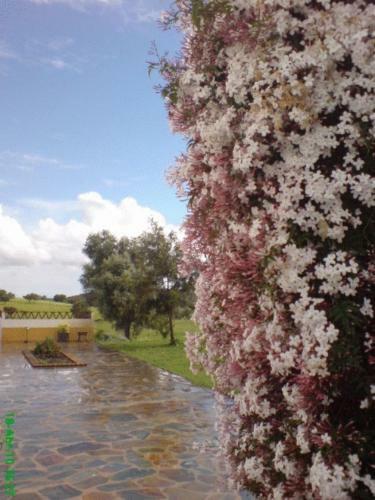 Naveterra-hotel Rural