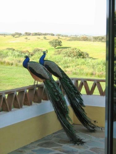Naveterra-hotel Rural