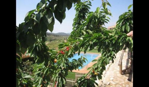 Juncosa Villa Sleeps 11 With Pool