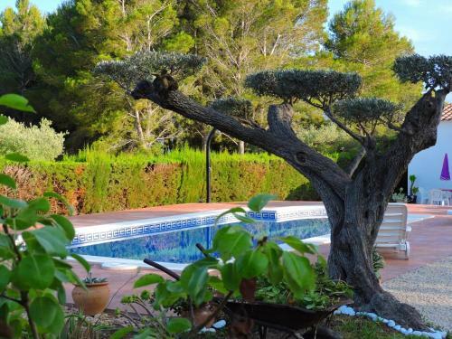Villa Doree 341