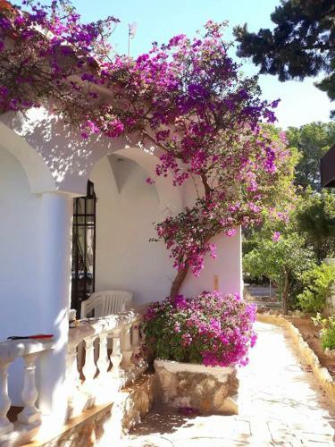 Wvp Villa Martres