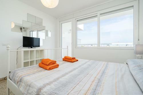 Hauzify I Apartament Esmeralda