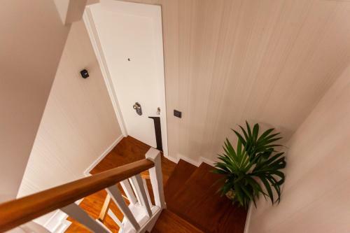 Apartamentos Franja 55