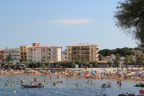 Apartamento Palomar 6