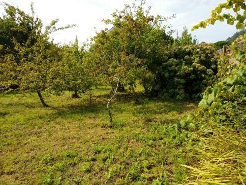 Apartment With One Bedroom In A Guarda