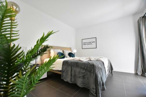 Fuerte Holiday Costa Dream Apartment