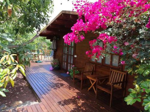 Cottage Bougainville