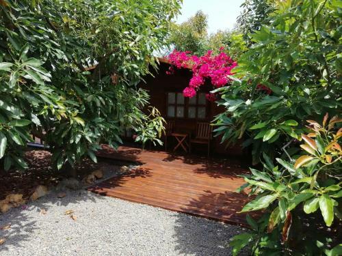 Cottage Bougainville