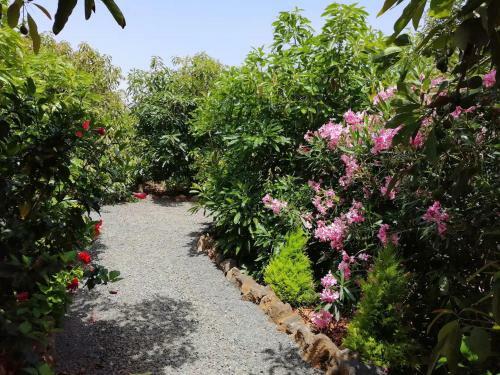 Cottage Bougainville