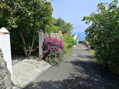Cottage Bougainville