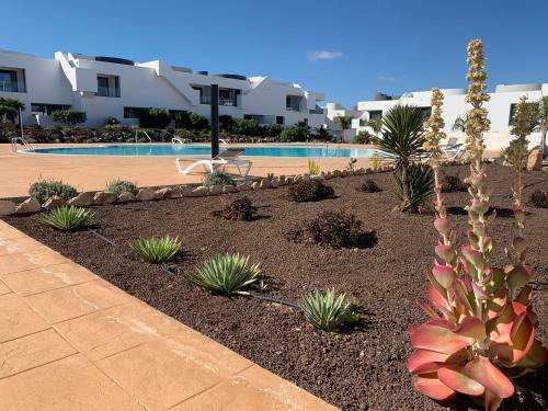 Apartamento Celeste Home Fuerteventura