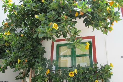 Apartamento Playa Mogan Golden Beach 1