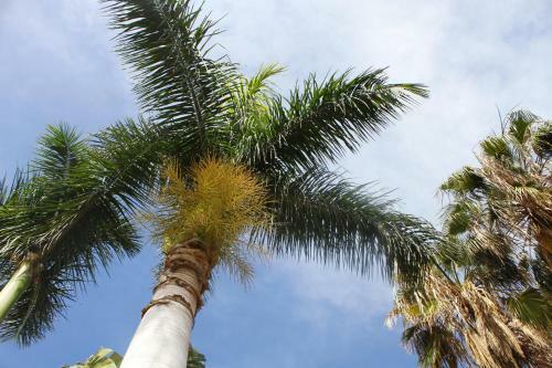 Apartamento Playa de Mogan La Puntilla