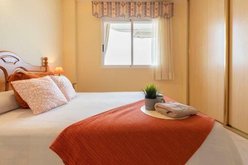 Apartamento Homes & Go Mare Internum I