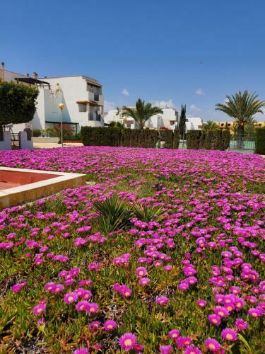 Apartamento En Primera L�nea de Vera Playa!!!