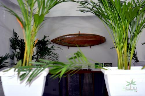Albergue The Garden Bed And Breakfast